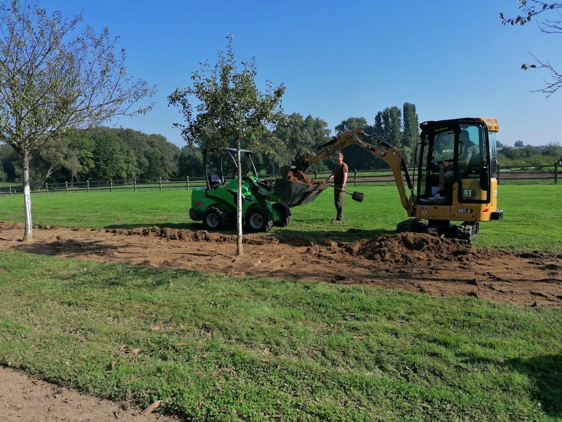 Jonge boom verplanten met minigraver